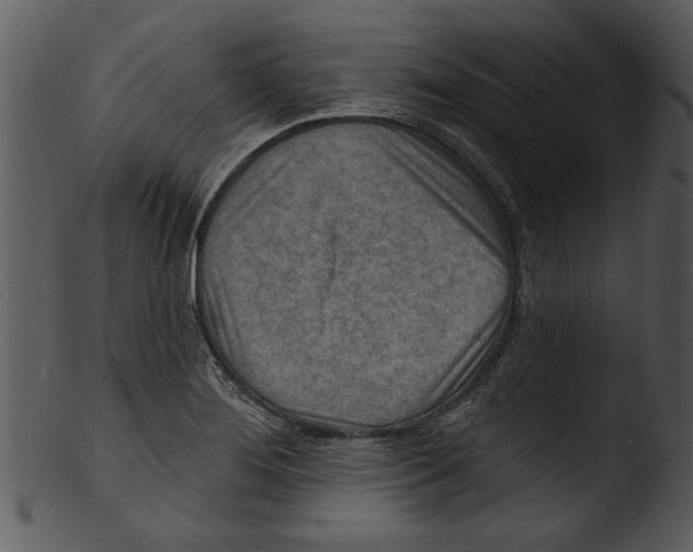 X0000103241276200809251319