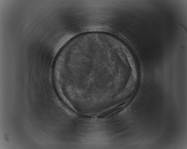 X0000103241277200809251319