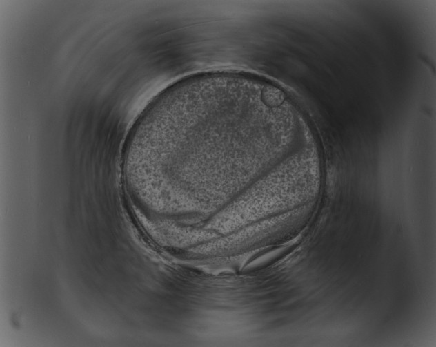 X0000103241279200809251319