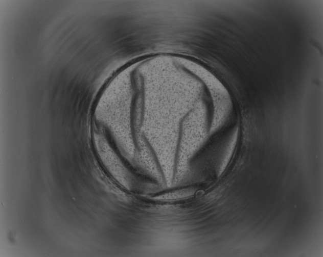 X0000103241280200809251319