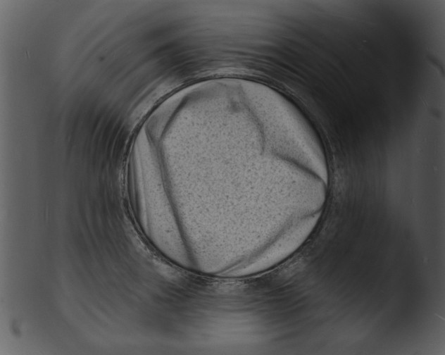 X0000103241282200809251319