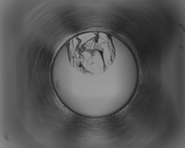 X0000103241284200809251319