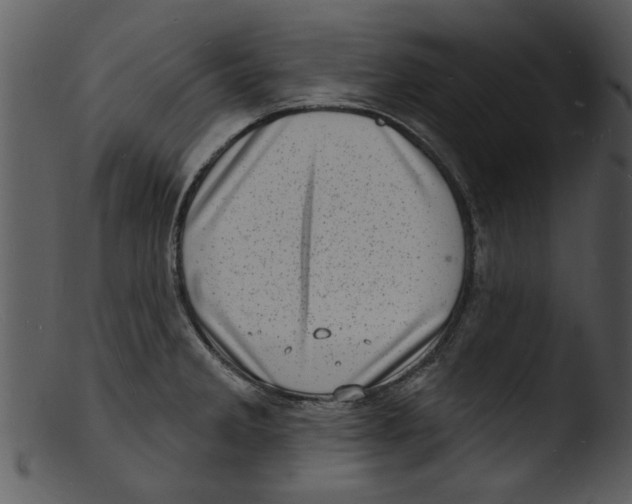 X0000103241285200809251319