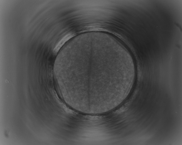 X0000103241289200809251319