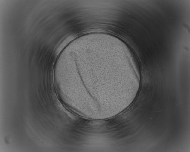 X0000103241290200809251319