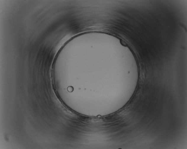 X0000103241291200809251319