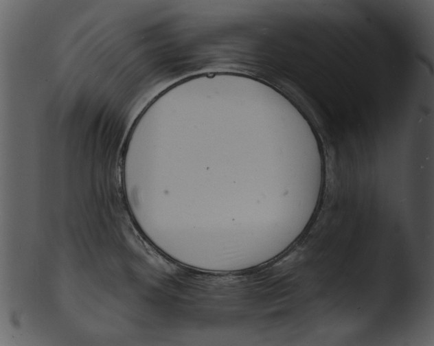 X0000103241292200809251319