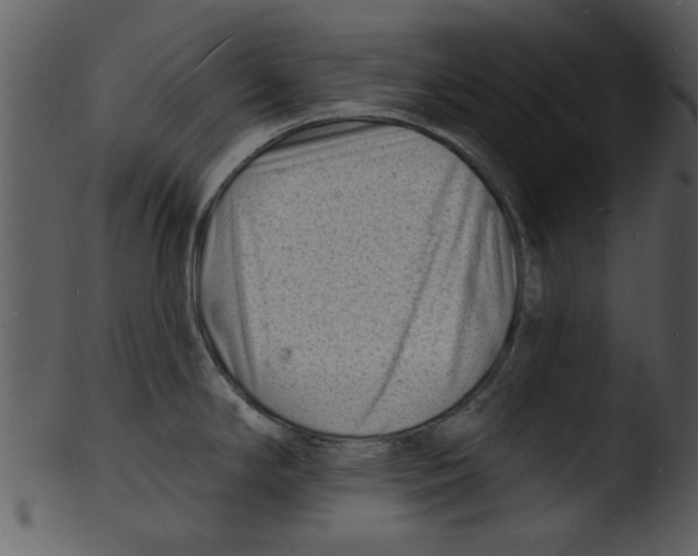 X0000103241294200809251319