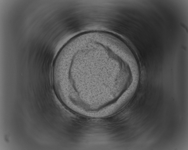 X0000103241295200809251319