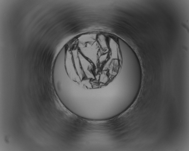 X0000103241296200809251318