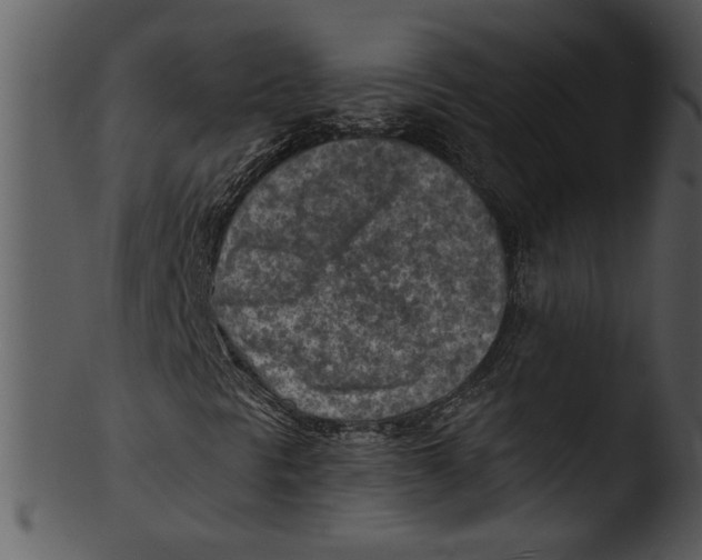 X0000103241297200809251318