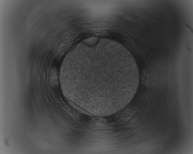 X0000103241298200809251318