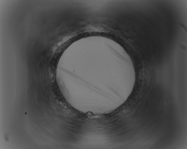 X0000103241303200809251318