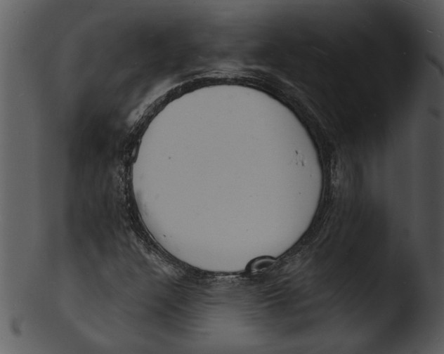 X0000103241304200809251318