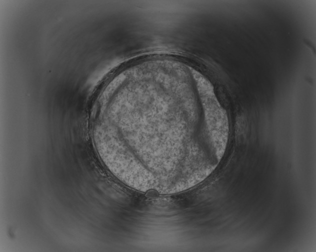 X0000103241310200809251318