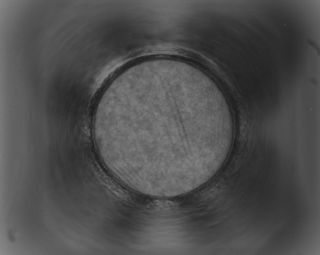 X0000103241312200809251318