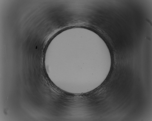 X0000103241316200809251318