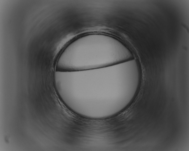 X0000103241320200809251318