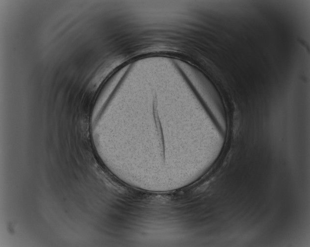 X0000103241321200809251318