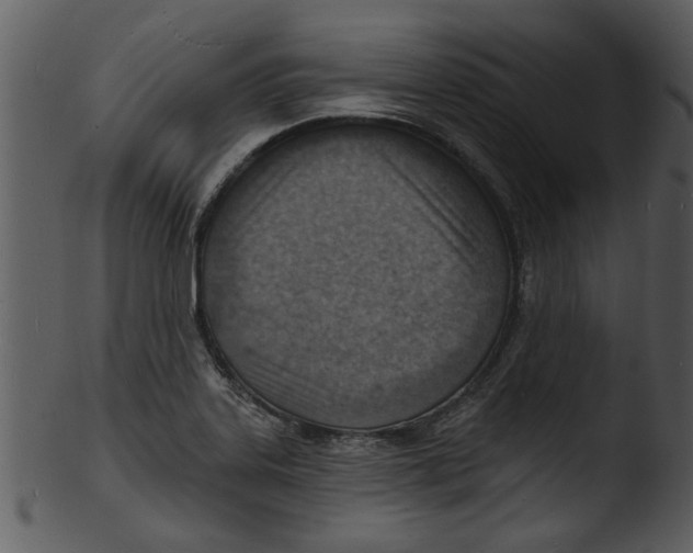 X0000103241323200809251318