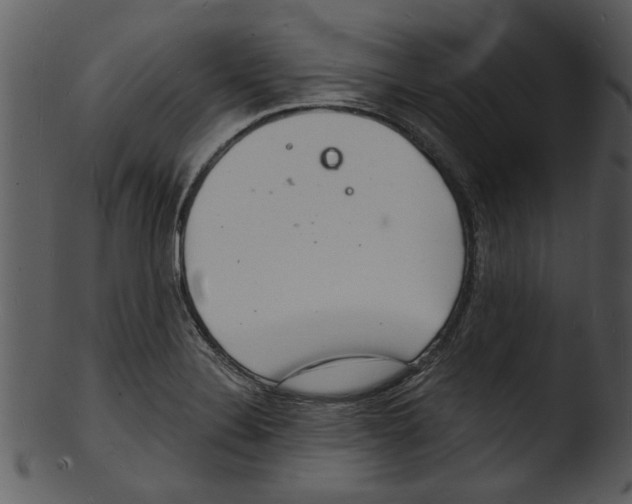 X0000103241324200809251318