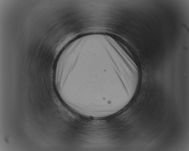 X0000103241325200809251318