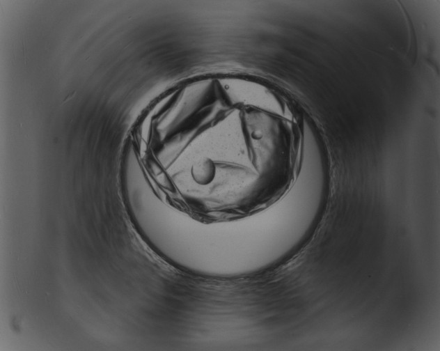 X0000103241326200809251318