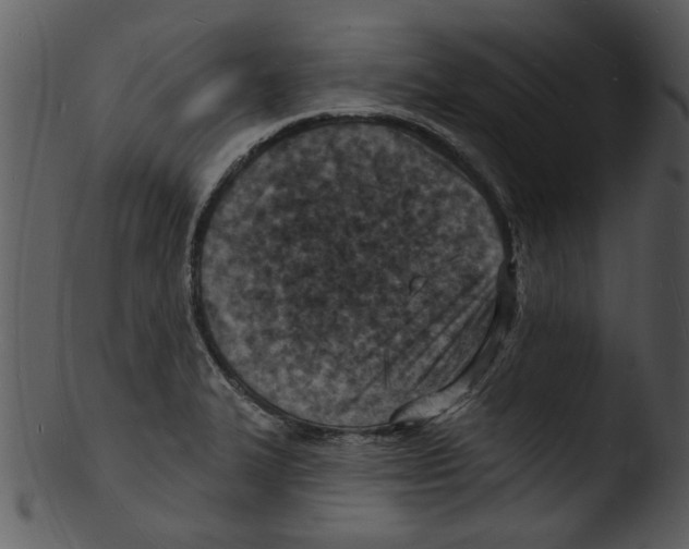 X0000103241327200809251318