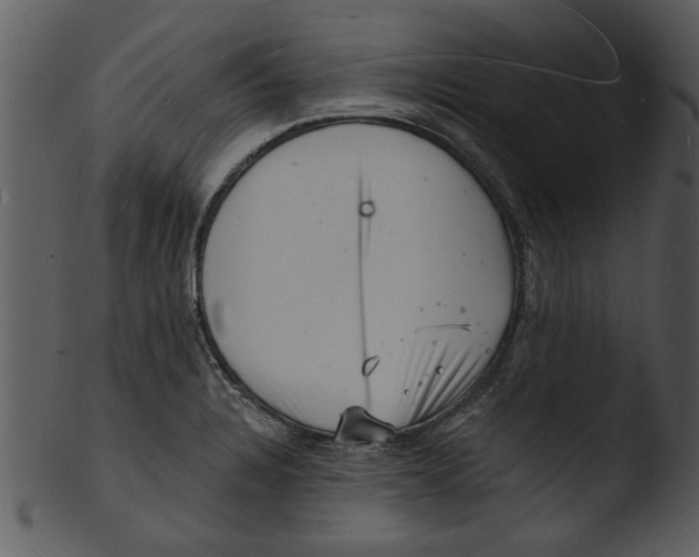 X0000103241328200809251318