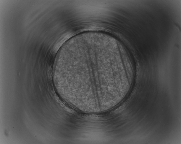 X0000103241329200809251318