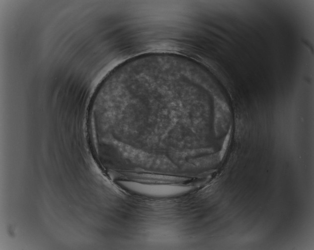 X0000103241331200809251318