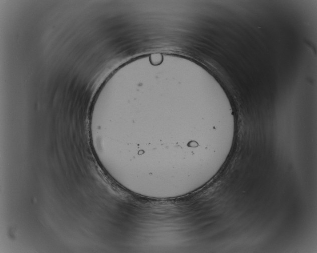 X0000103241332200809251318