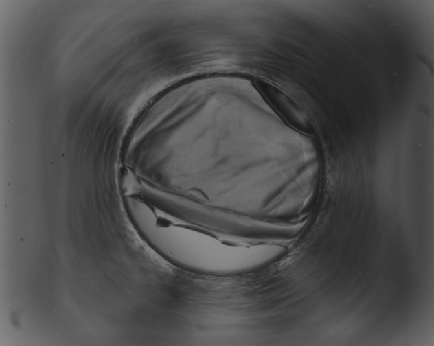 X0000103241334200809251318