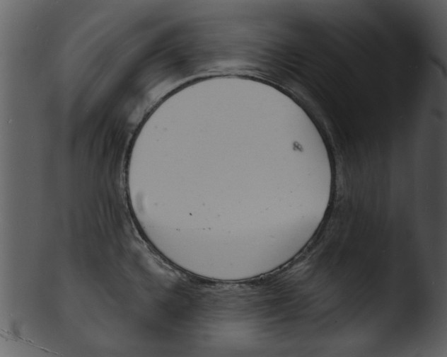 X0000103241336200809251318