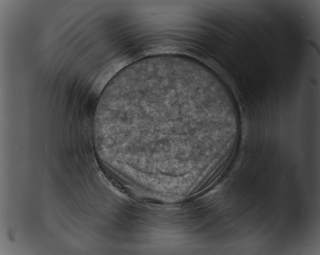 X0000103241337200809251318