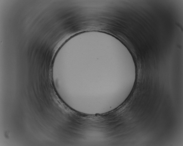 X0000103241340200809251318