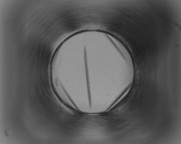 X0000103241343200809251318