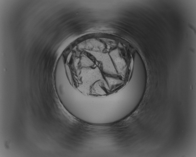 X0000103241344200809251318