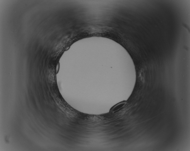 X0000103241348200809251318