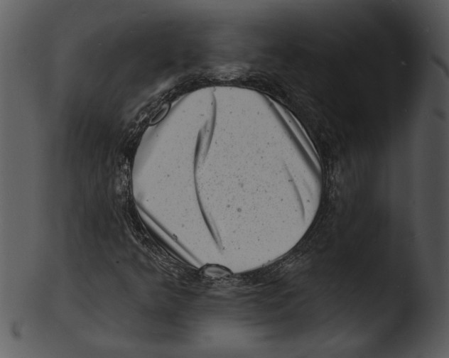 X0000103241349200809251318