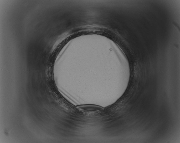 X0000103241352200809251318