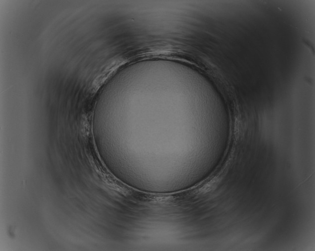 X0000103241353200809251318