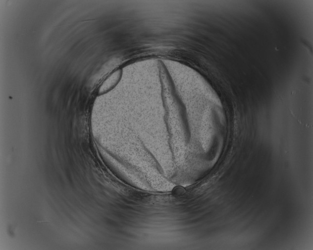 X0000103241354200809251318