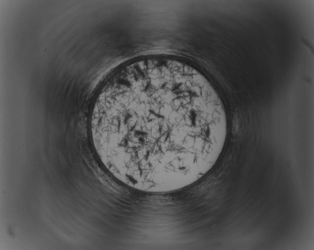 X0000103241356200809251317