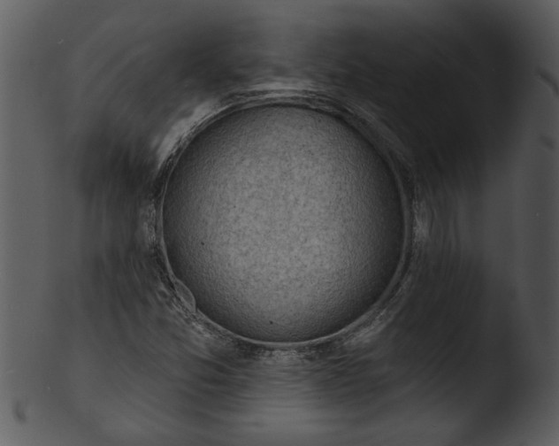 X0000103241357200809251317