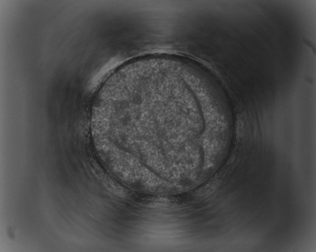 X0000103241359200809251317