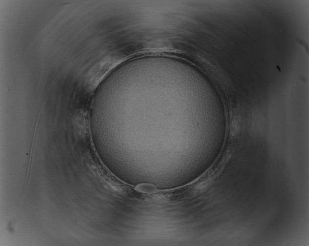 X0000103241361200809251317