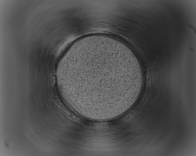 X0000103241363200809251317