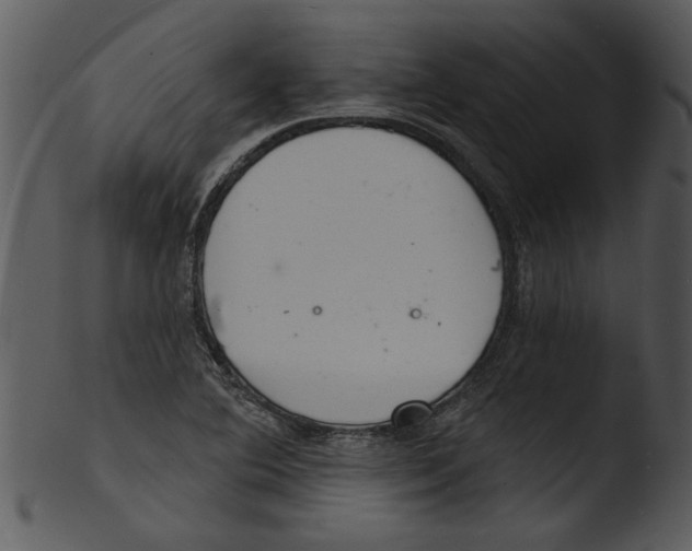 X0000103241364200809251317