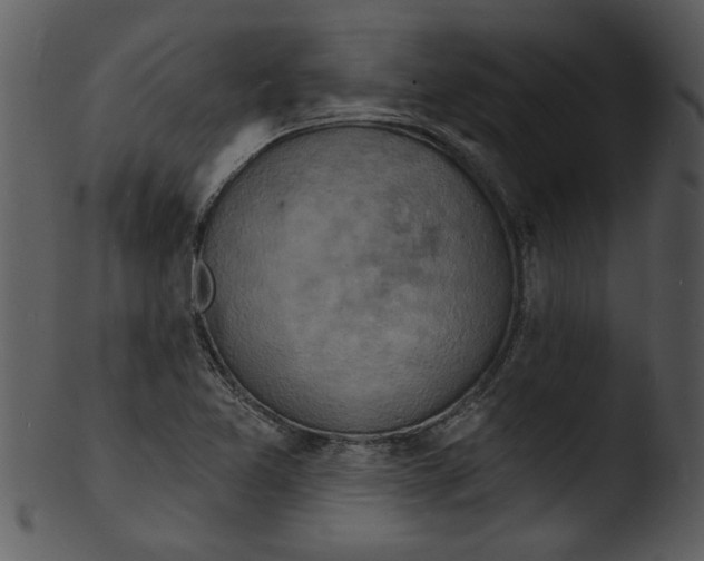 X0000103241365200809251317